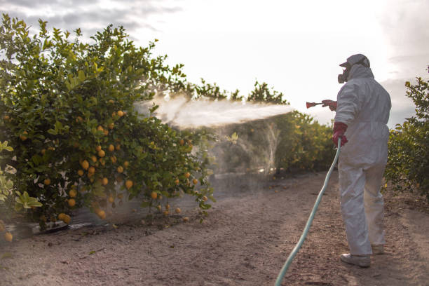Best Best Pest Control Companies  in Watsontown, PA
