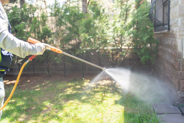 Best Wasp Removal Services  in Watsontown, PA