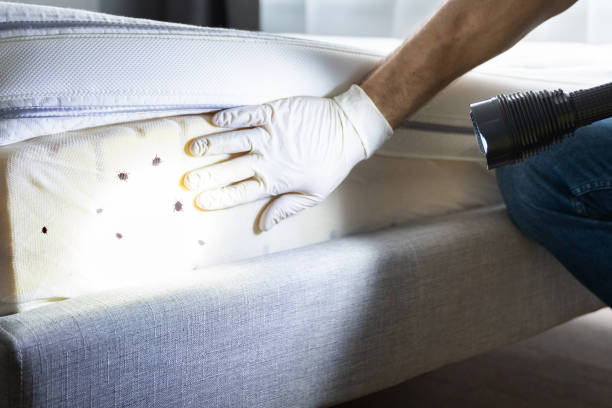 Best Cockroach Control Services  in Watsontown, PA