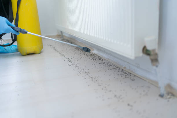Best Residential Pest Control  in Watsontown, PA