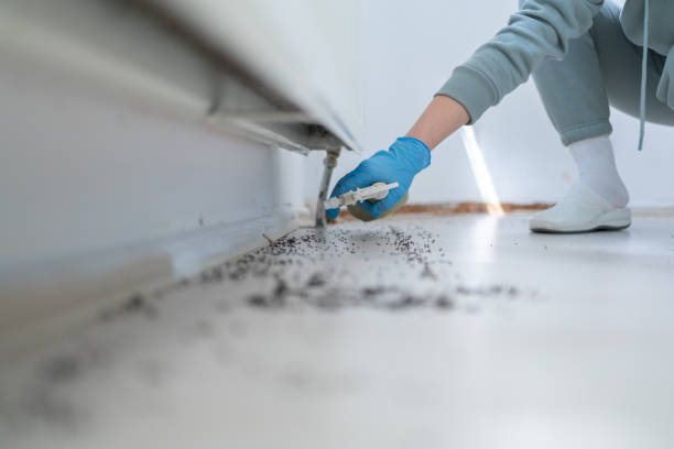 Best Flea Control Services  in Watsontown, PA